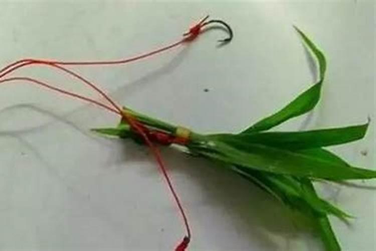 番茄中后期用什么肥料膨果啊