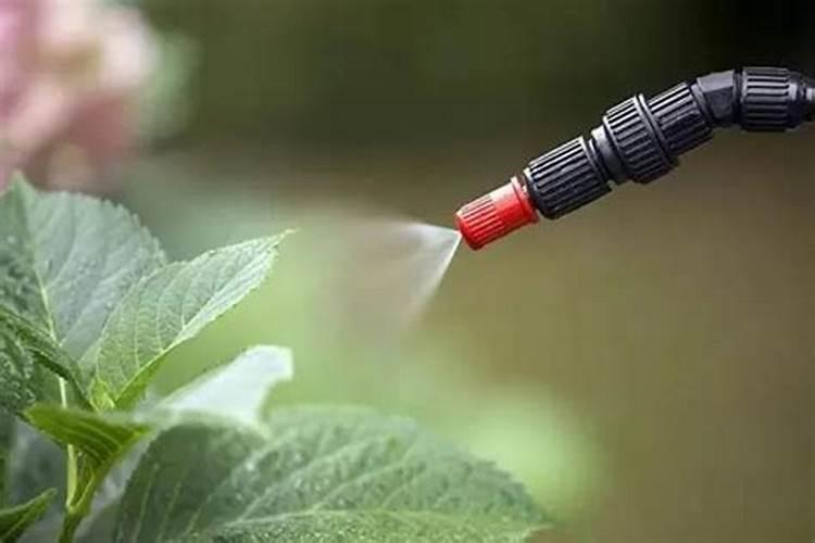 磷酸二氢钾怎么使用效果最佳