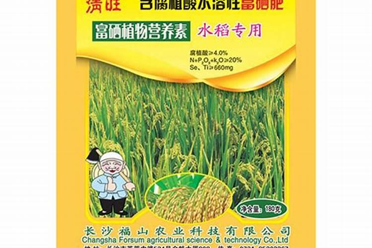 水稻灌浆期用什么叶面肥可增产