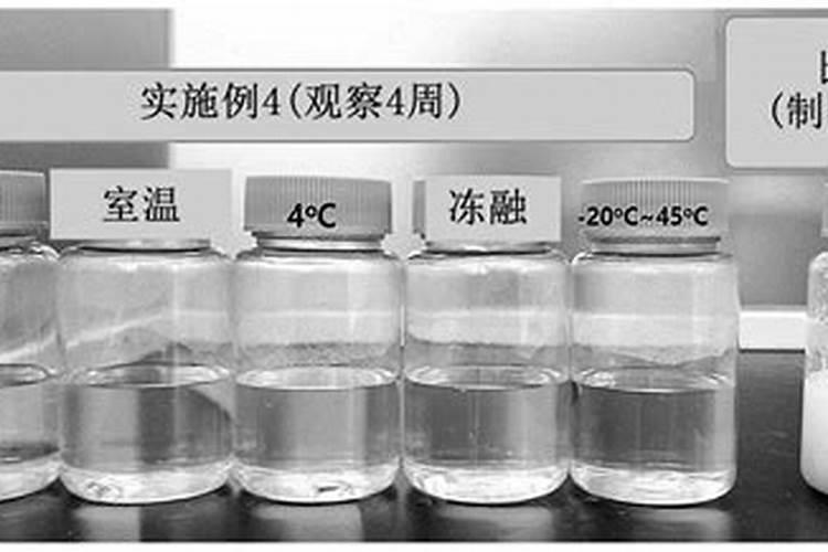 防止盆栽植物烂根盆底垫什么东西