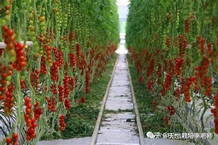 什么样的肥是氮肥