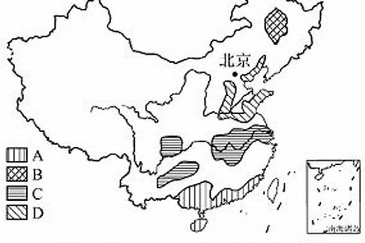油菜专用肥料哪种好花卉百科