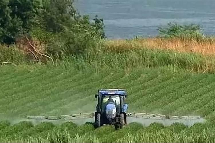 同是全水溶性肥料,价格差距为什么那么大