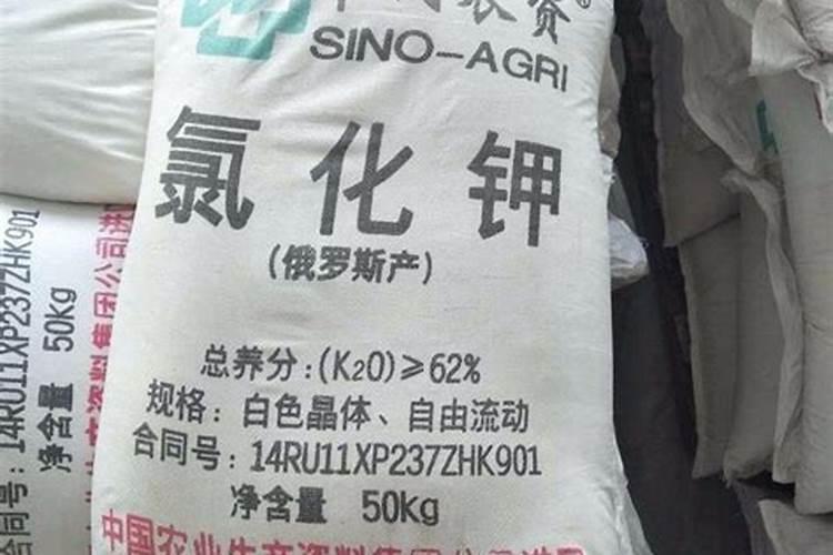 俄罗斯钾肥为什么是红色