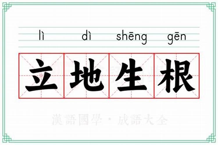 落地生根施什么肥