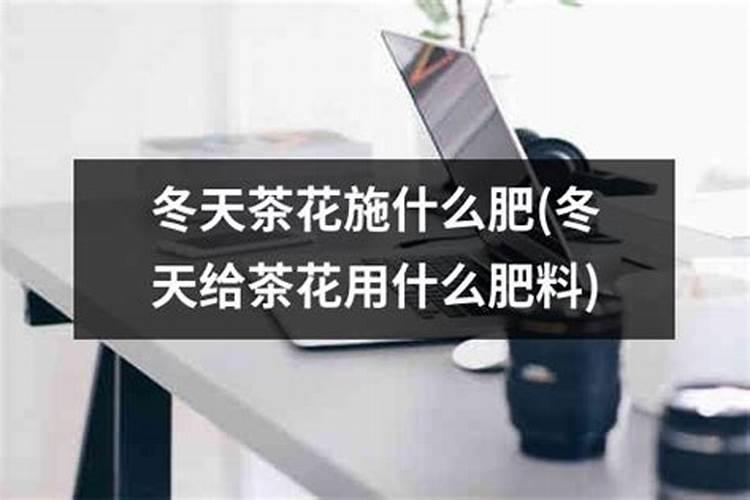 茶花可以施复合肥吗 什么时候施肥合适