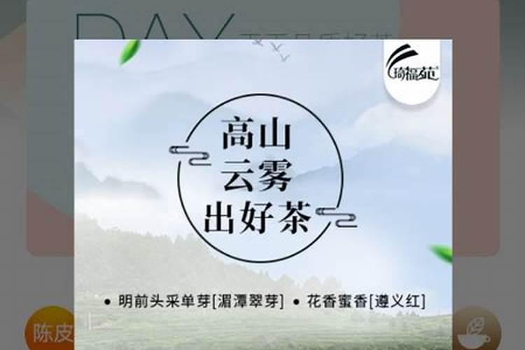 茶叶用什么肥料最好