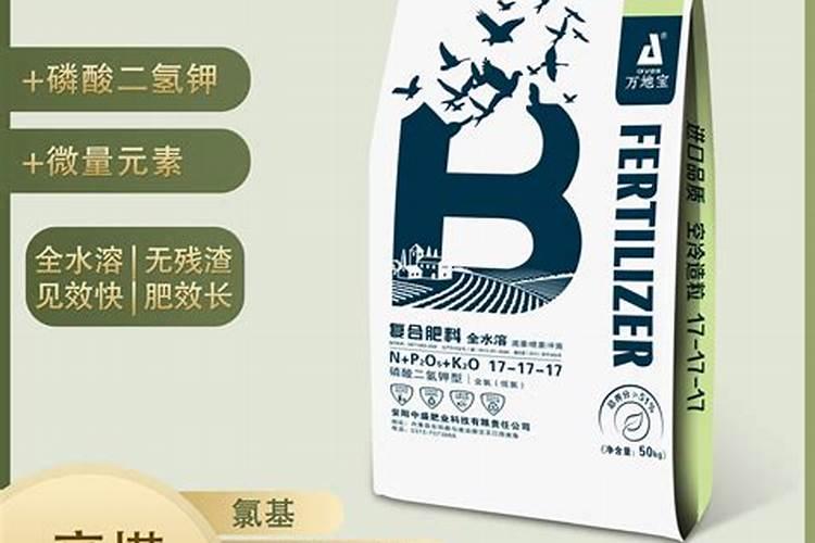 大豆施钼肥和硼肥有什么作用