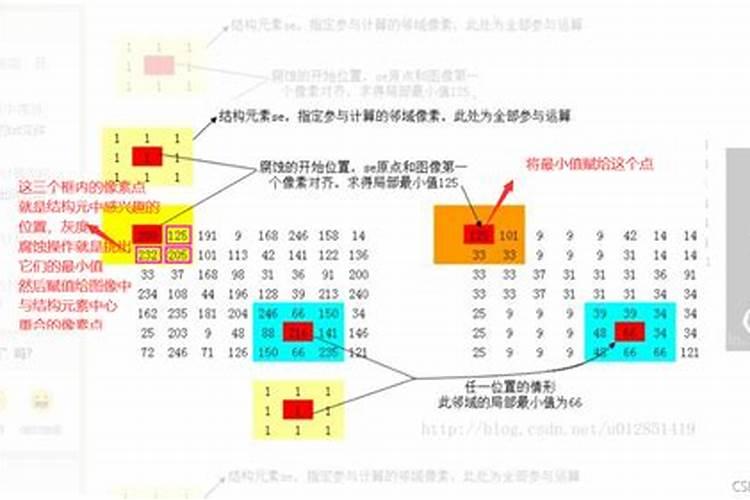 炭疽病是什么样的