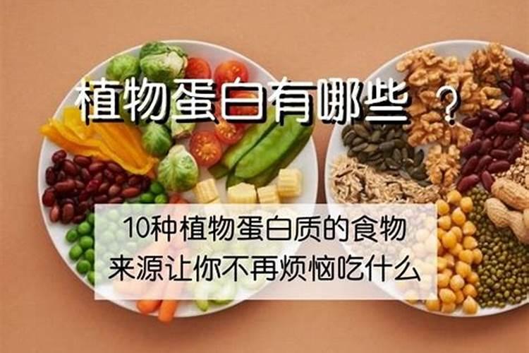 鱼蛋白肥料的功效与作用