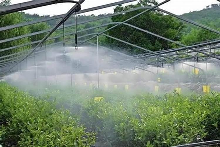 水溶肥滴灌多长时间好