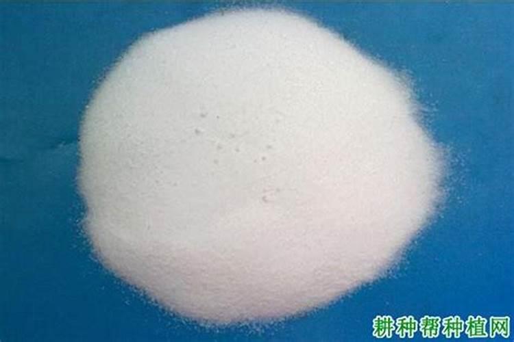 使用硼砂的正确方法
