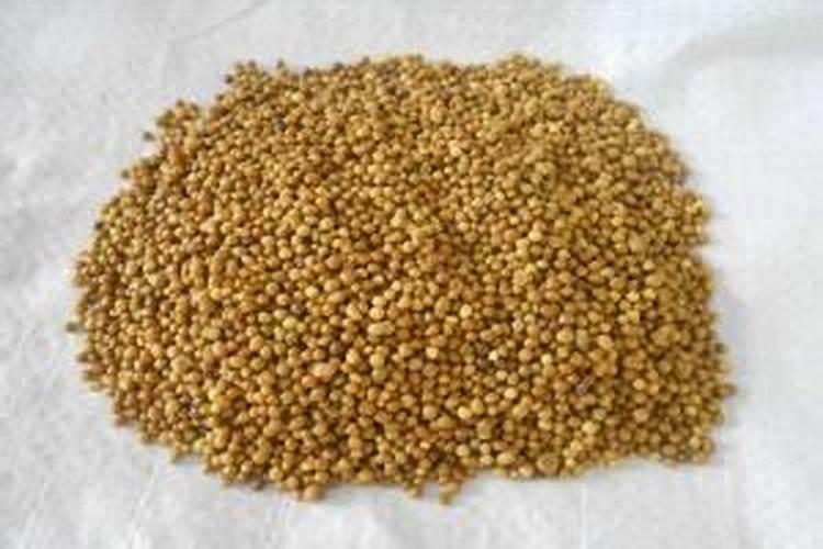 百香果刚开始结果的时候需要什么肥料