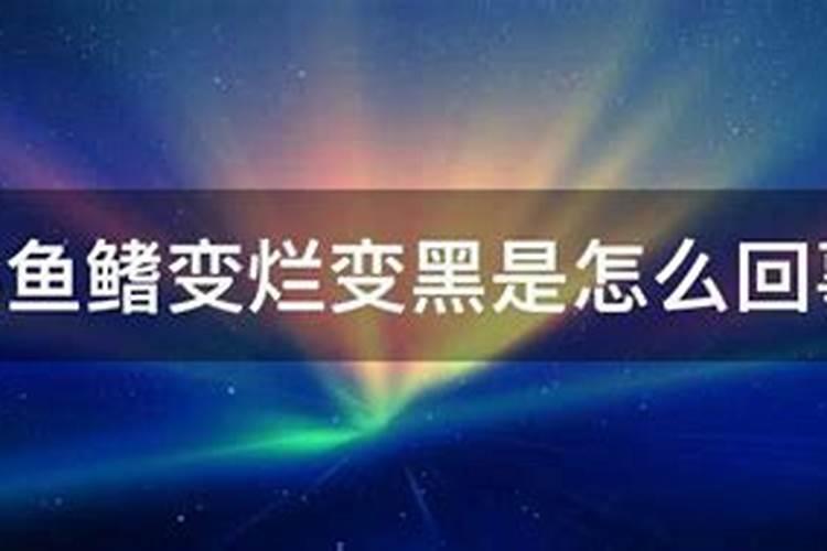 鱼露发酵制品鱼露生产质量控