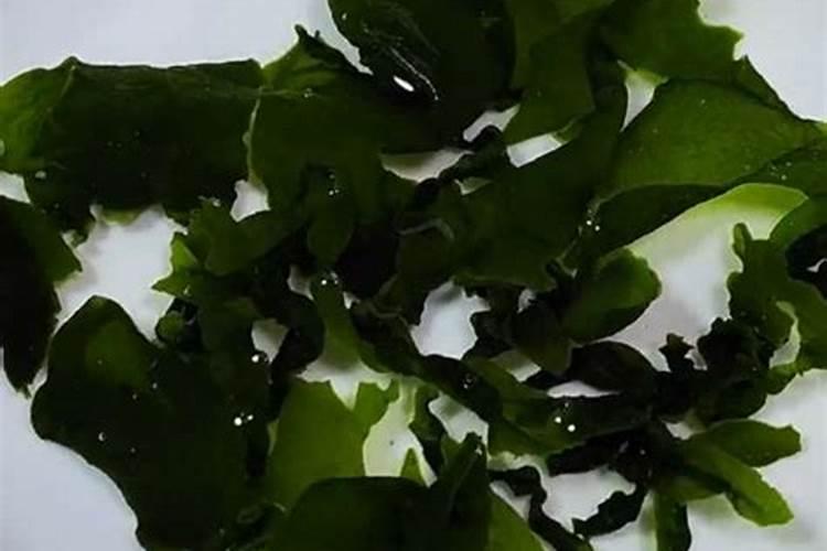 螺蛳壳是湿垃圾吗？不是螺蛳壳不易腐烂是干垃圾