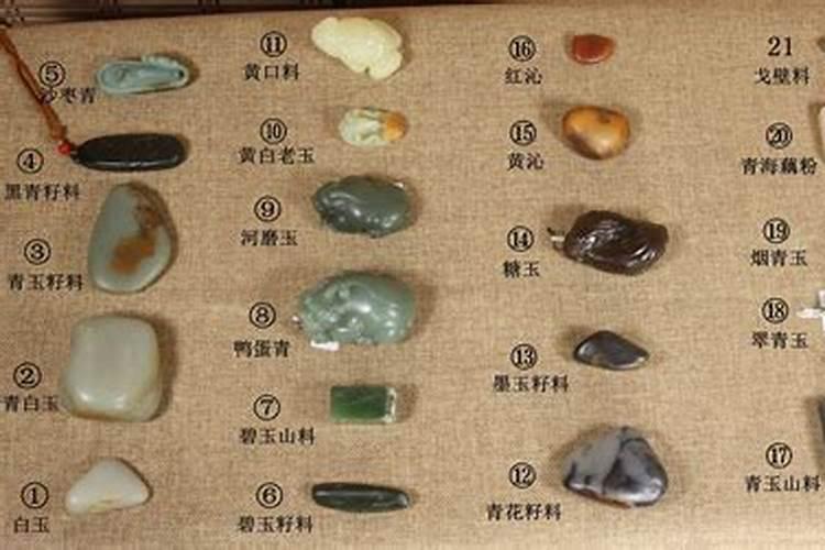 鱼胶是什么