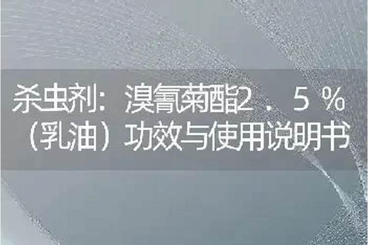 月季为什么要喷施叶面肥杀菌剂添加叶面肥有何作用