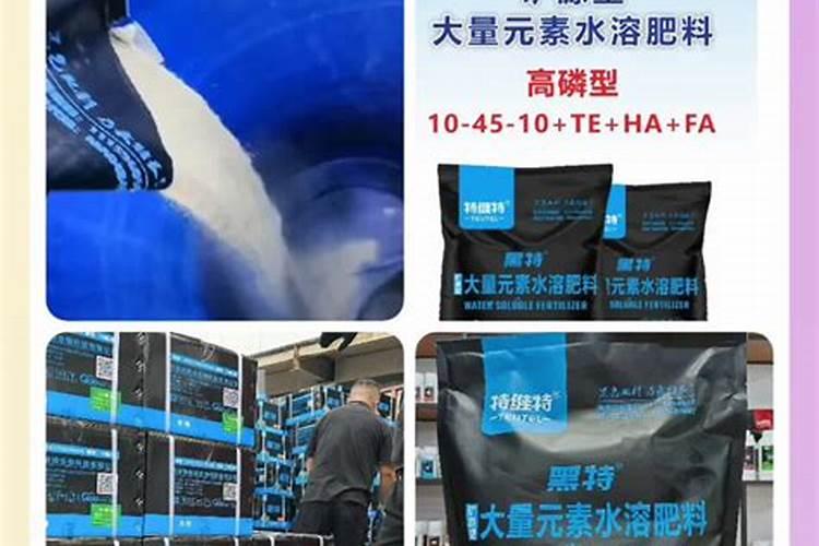 高磷水溶肥的主要作用,什么时候用效果好