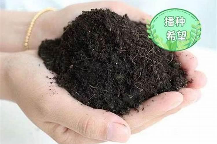 养花用什么肥料好