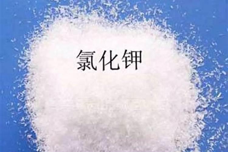 玉米施用种肥有哪些注意事项