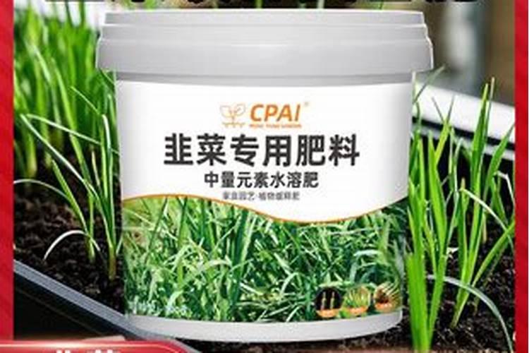 韭菜底肥施什么肥料