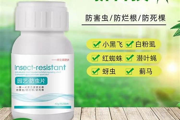 硼肥在杨梅膨果时期能增加种子的饱满度吗 硼肥怎么施效果好
