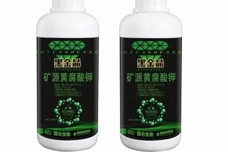 矿源黄腐酸钾什么时候用效果好？芒果使用黑金晶促产增收怎么用