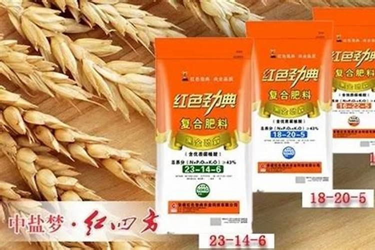施用控释肥应注意什么
