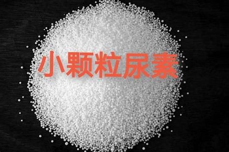 三角梅秋季生长缓慢怎么养护