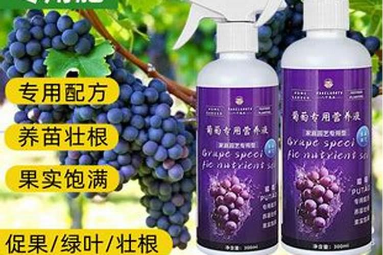 葡萄专用肥料