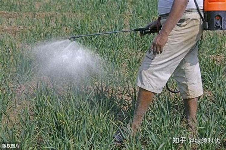 水雾机与冷雾机哪个给果树打药效果好