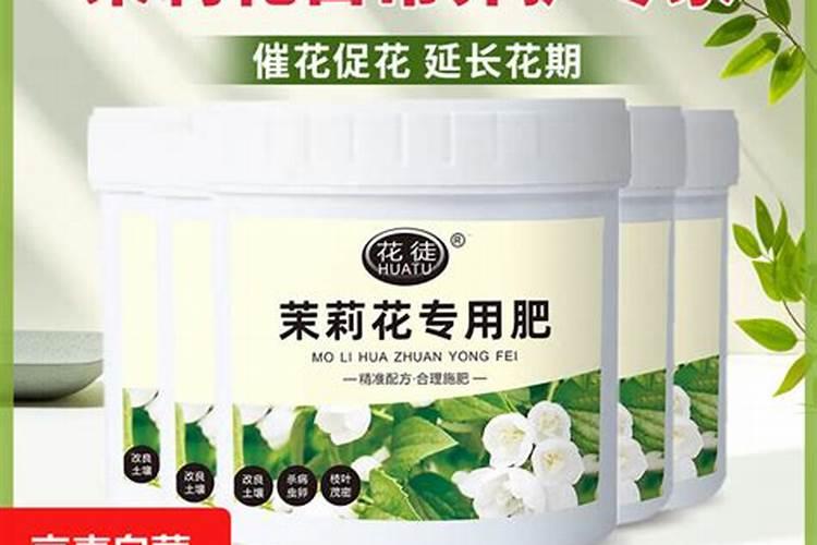 茉莉花在打花苞能施肥
