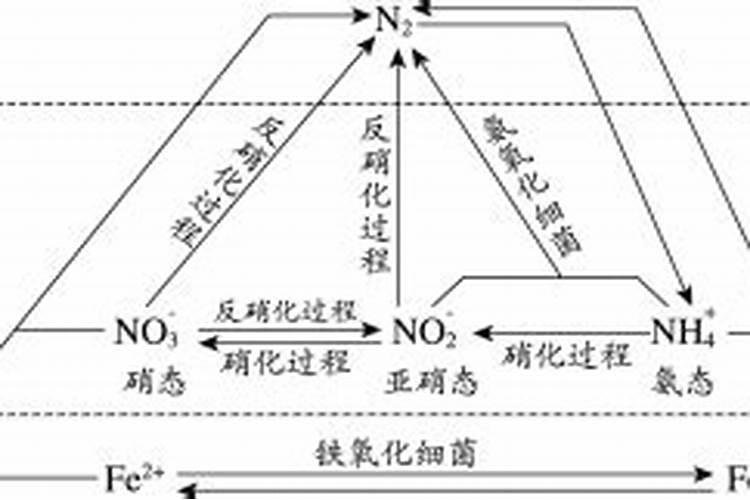 铵态氮肥不能与什么混合使用