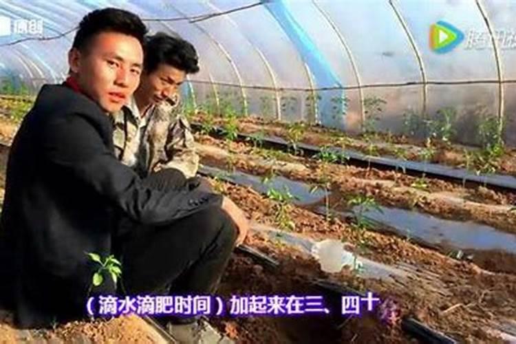 5KG元素水溶肥,滴灌稀释倍数600倍。得兑多少升水？ 大神些帮帮忙,上面...
