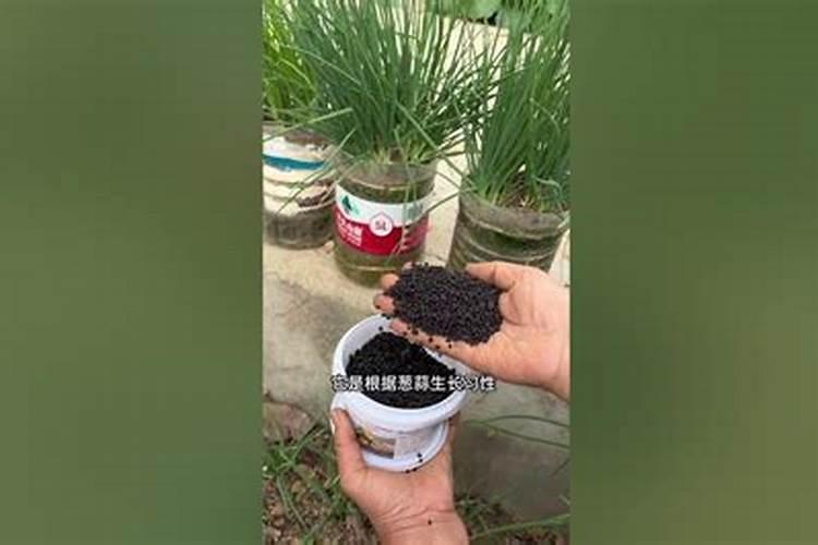 蔬菜出苗后怎样追肥