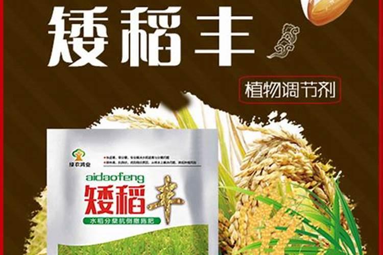 什么肥料使水稻分叉好