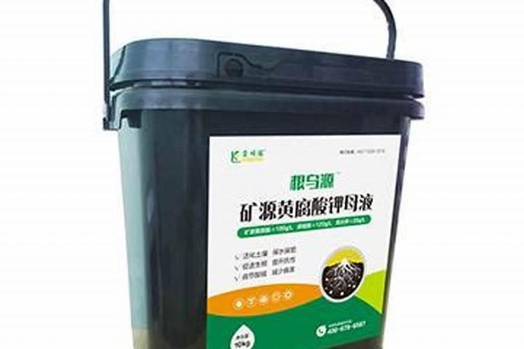 我想经销红枣怎么做