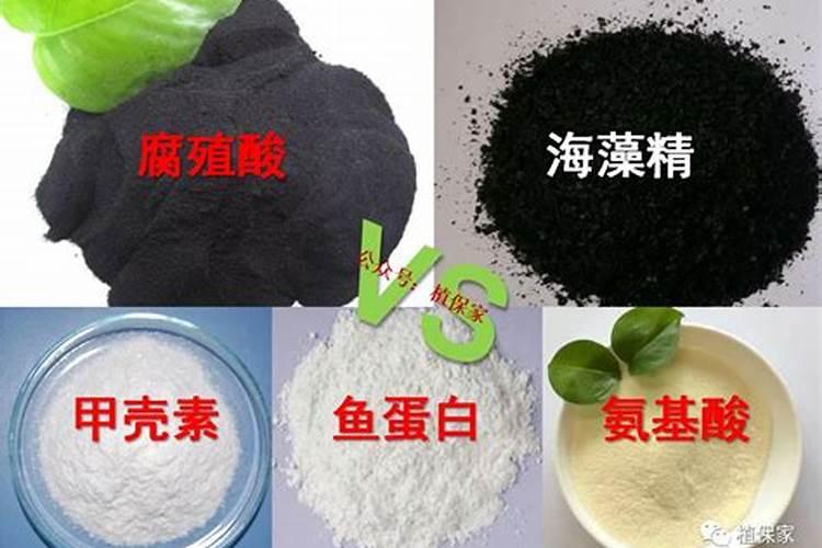 鱼蛋白氨基酸水溶肥的功效