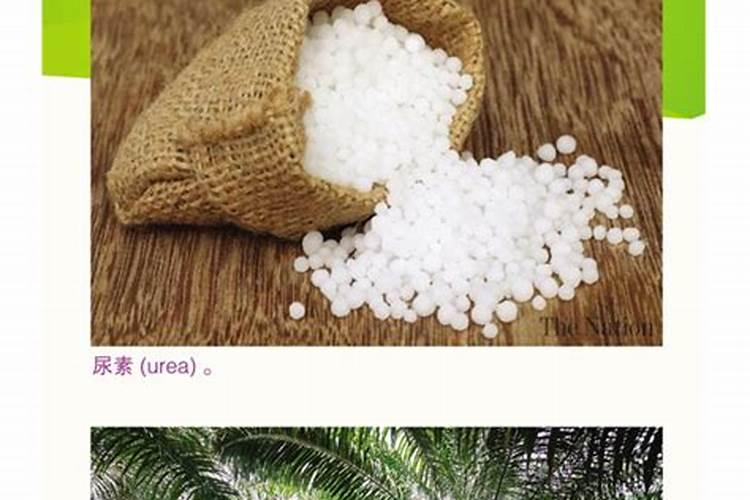 硝酸是怎样形成氮肥的？