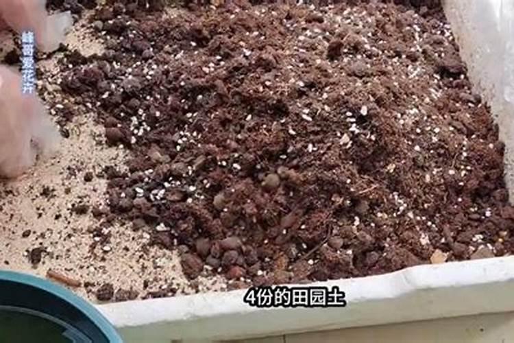 10种自制花肥的方法 自制花肥方法大全