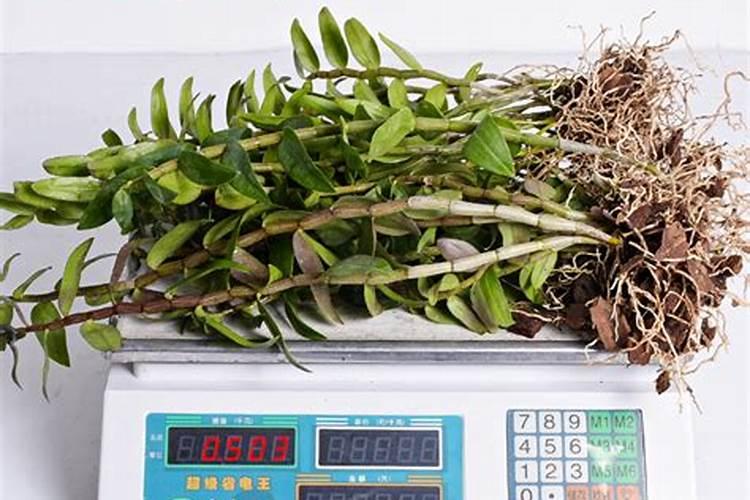 甜菜叶面施肥应把握哪些要点？