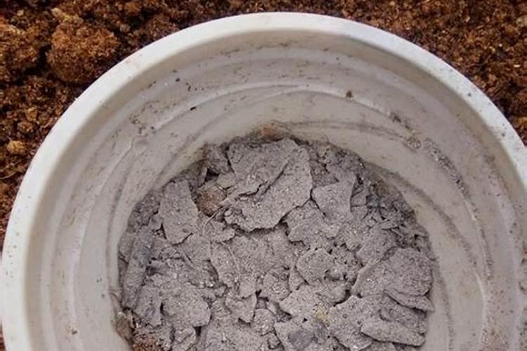 种植小麦用哪种化肥比较好？