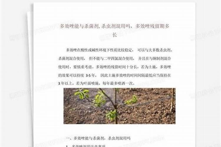 辣椒正确使用磷酸二氢钾 磷酸二氢钾的作用