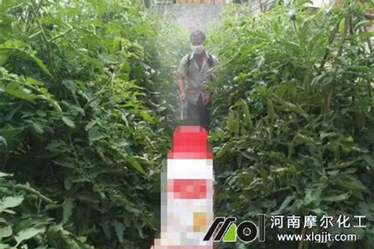 种植西红柿磷酸二氢钾最多使用几次,多了有害吗？
