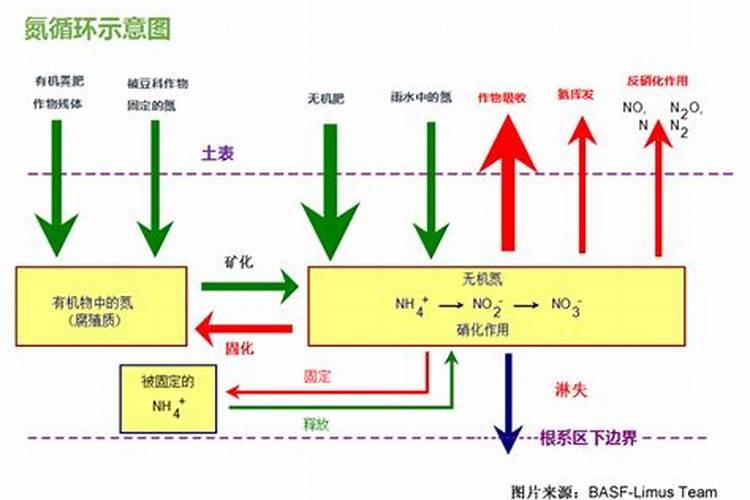 马铃薯喷施叶面肥有什么技巧？