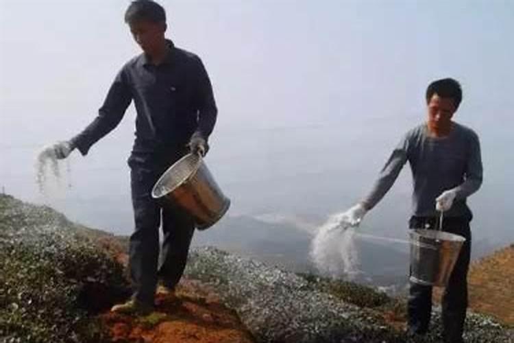 含腐殖酸的肥料有什么作用？