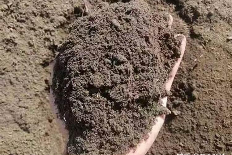 生物有机肥的正确使用方法