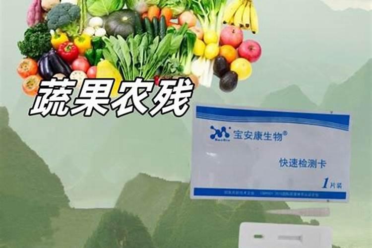 洋葱定植后好久打药打什么药合适