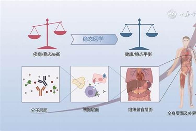 鱼蛋白对作物有哪些作用？