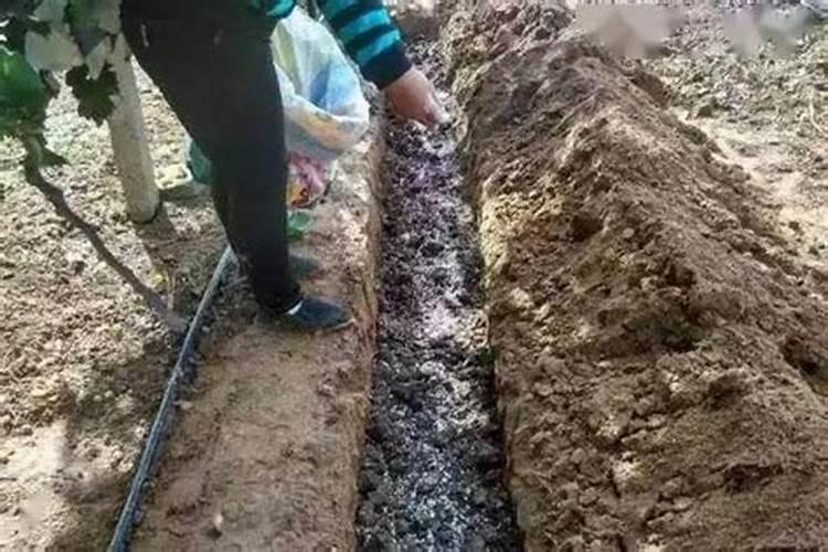 甲骨文里怎样写金木水火土